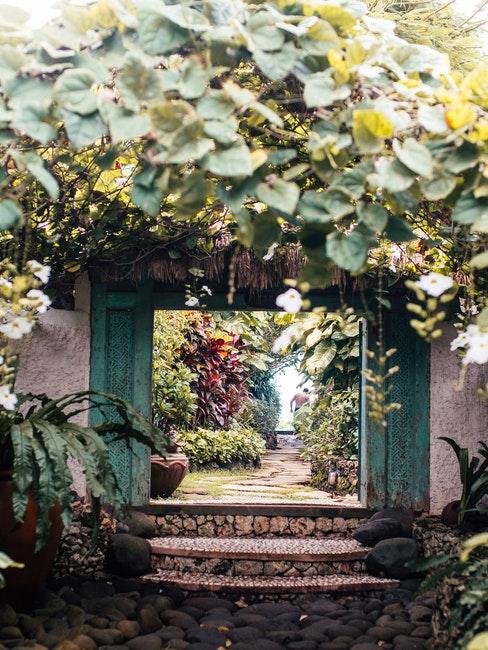 tuin met veel groen