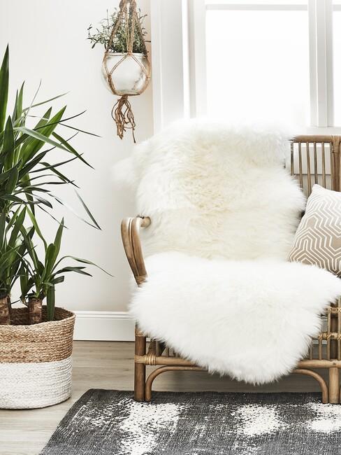 Woonkamer met licht houten vloer met rieten stoel