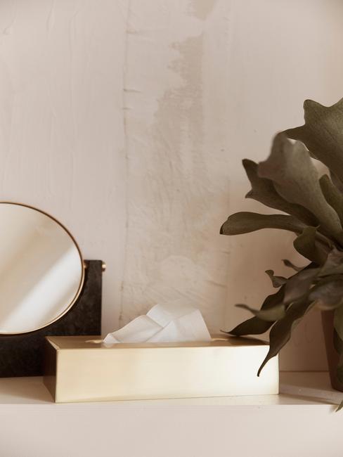 luxe badkamer met spiegel en plant
