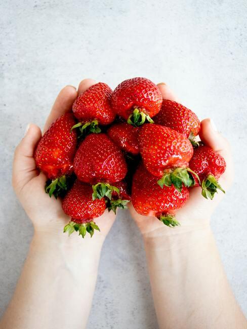 twee handen houden rood fruit vast