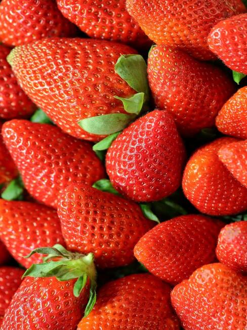 rood fruit