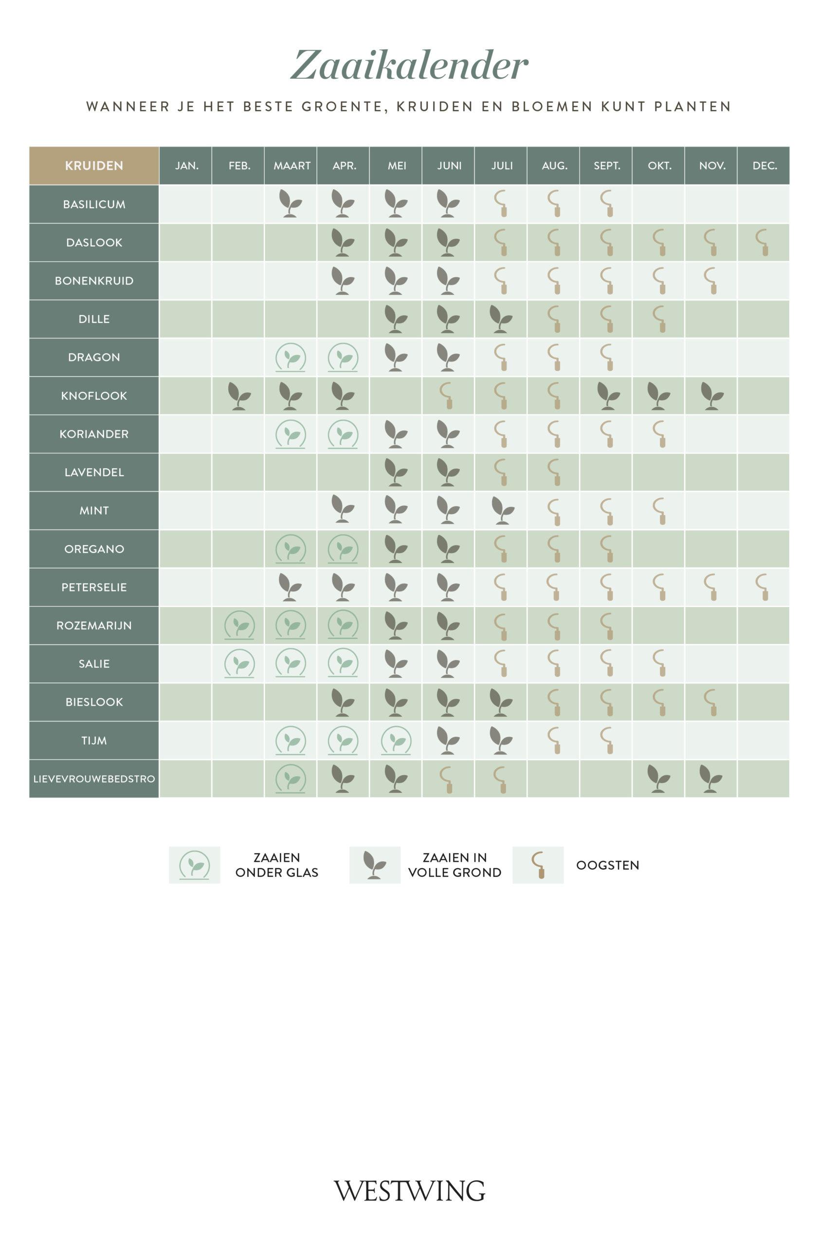 moestuinkalender: zaaikalender kruiden