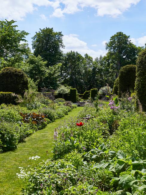 planten en grasveld