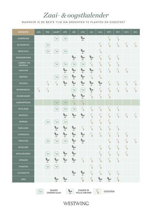 moestuinkalender wanneer je het beste planten kunt zaaien en oogsten