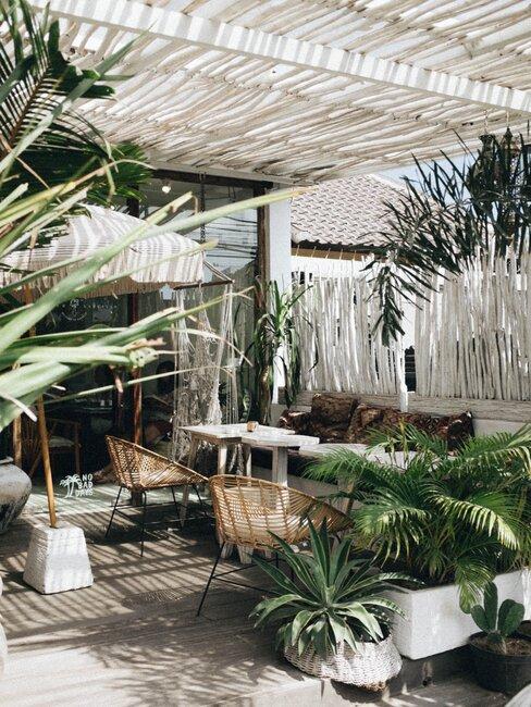 een tropische tuin met veel bamboe en planten