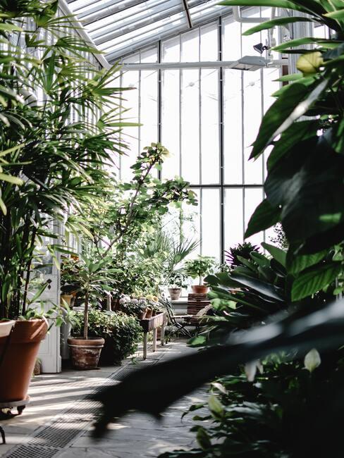een winterkas met planten