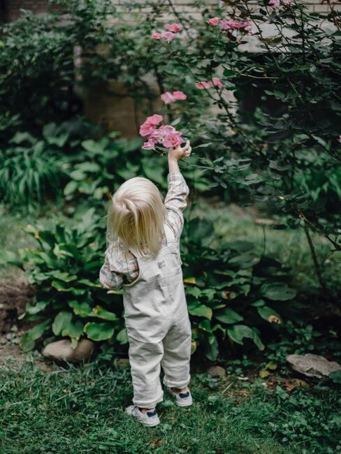meisje met blond haar die een roze bloem plukt