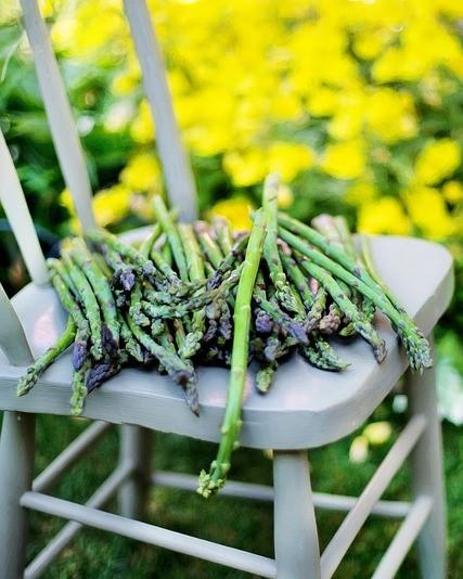 stoel met asperges