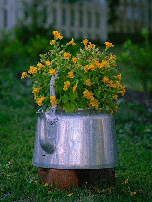 theepot met bloemen in gras