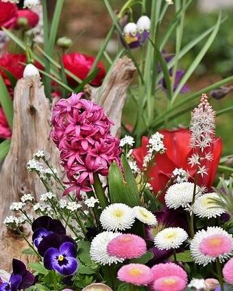 verschillende bloemen en een stuk hout