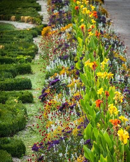 bloembed met verschillende kleuren bloemen