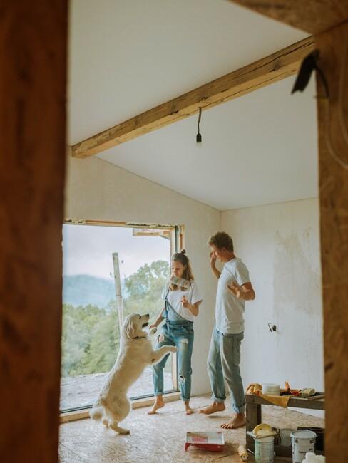 stel dat aan het klussen en een labrador