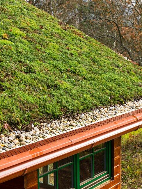 groen dak op houten huis