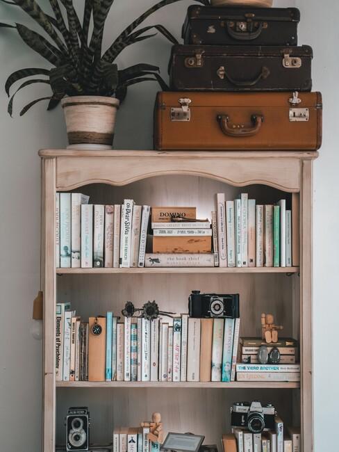 houten boekenkast met een plant