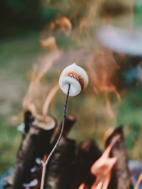 marshmellow barbecue
