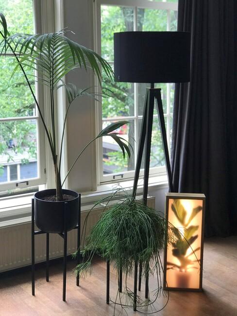 zwarte lamp en kamerplant