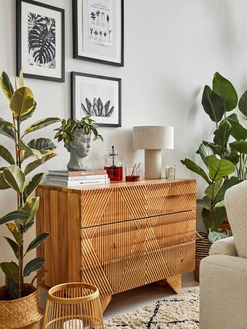 wandkast met kamerplanten