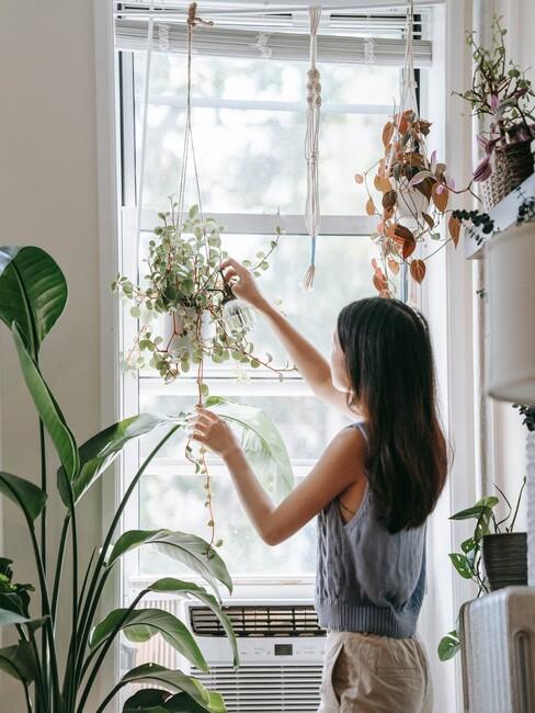 plant water geven