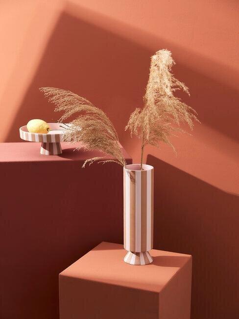 terracotta muur en pampasgras