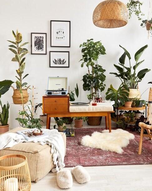 Bladluis_1 kamerplanten en rotan hanglamp