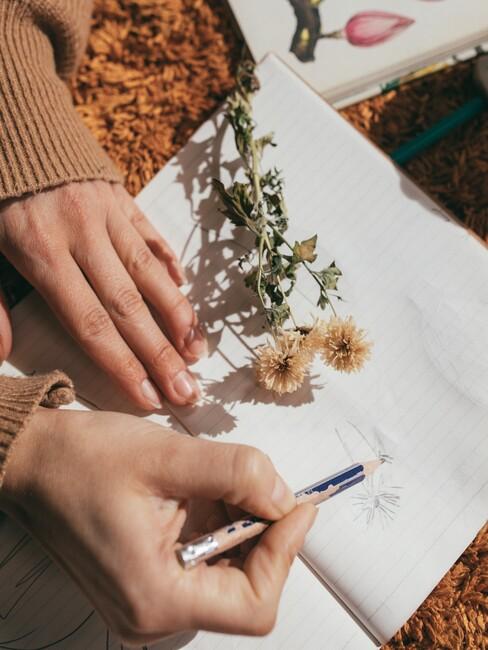 Handen die tekenen in een boek met gele bloemen