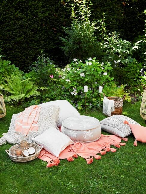 roze plaid op het gras