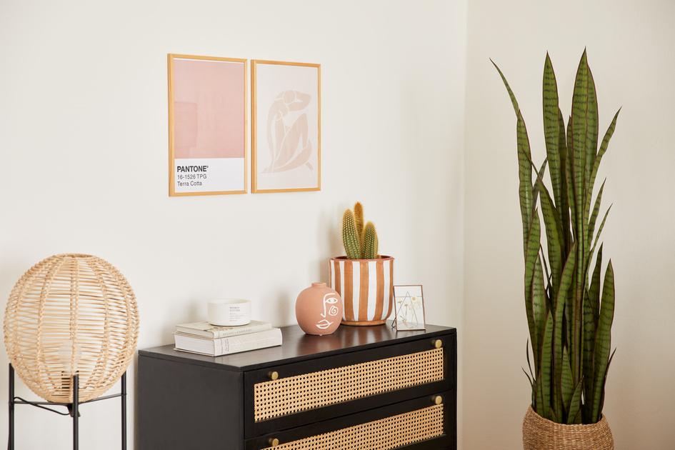 houten lijsten aan de muur met een kamerplant en wandkast van weens vlechtwerk