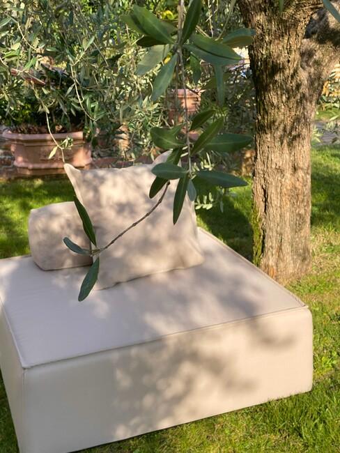 duurzame tuin met beige stoel onder olijfboom