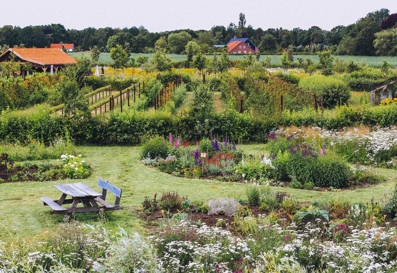 Pluktuin In de 7e Hemel