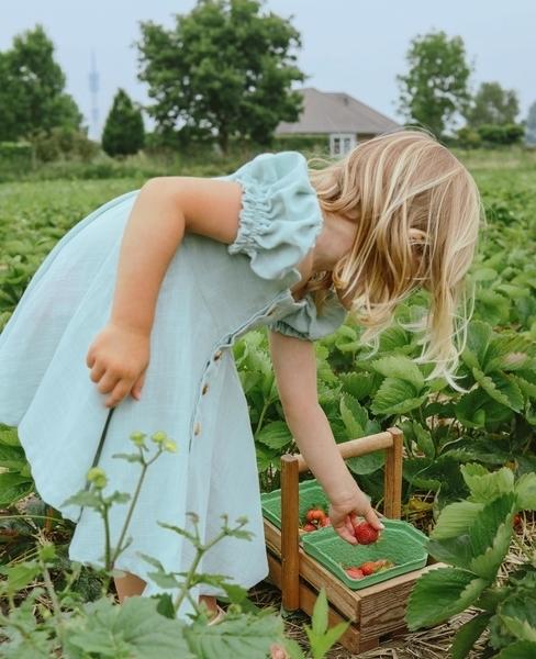 Meisje plukt aardbeien