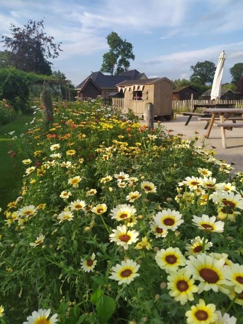 mooie bloemengaarde met picknickbankjes