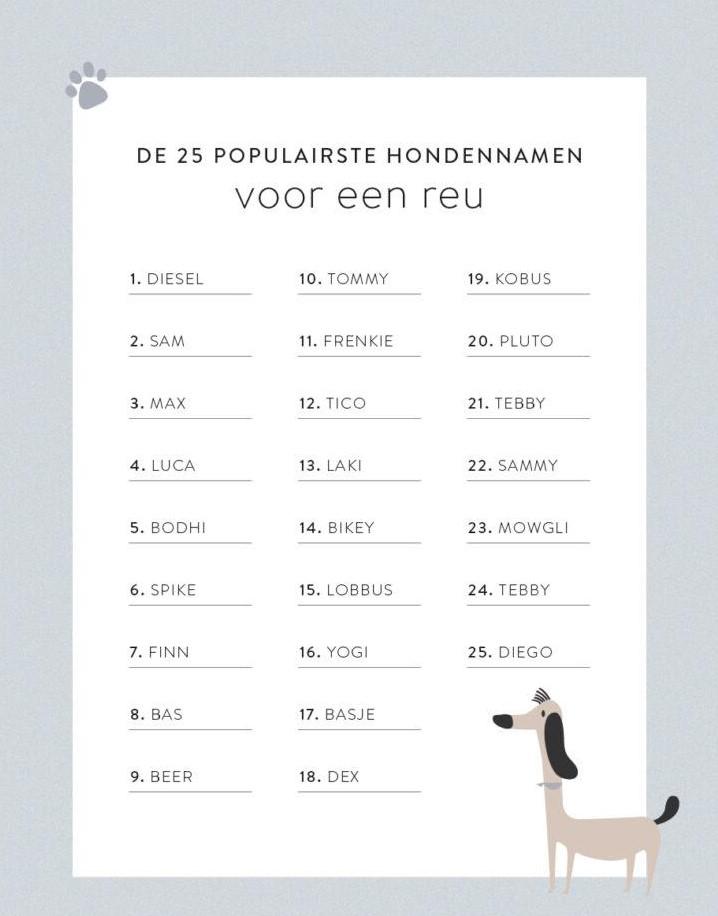 lijstje met populaire hondennamen voor een reu