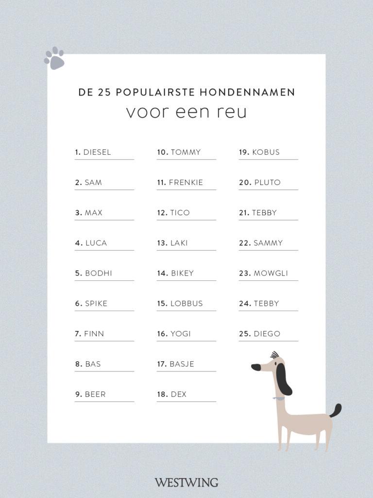120 leuke hondennamen voor een reu in 2023 Westwing