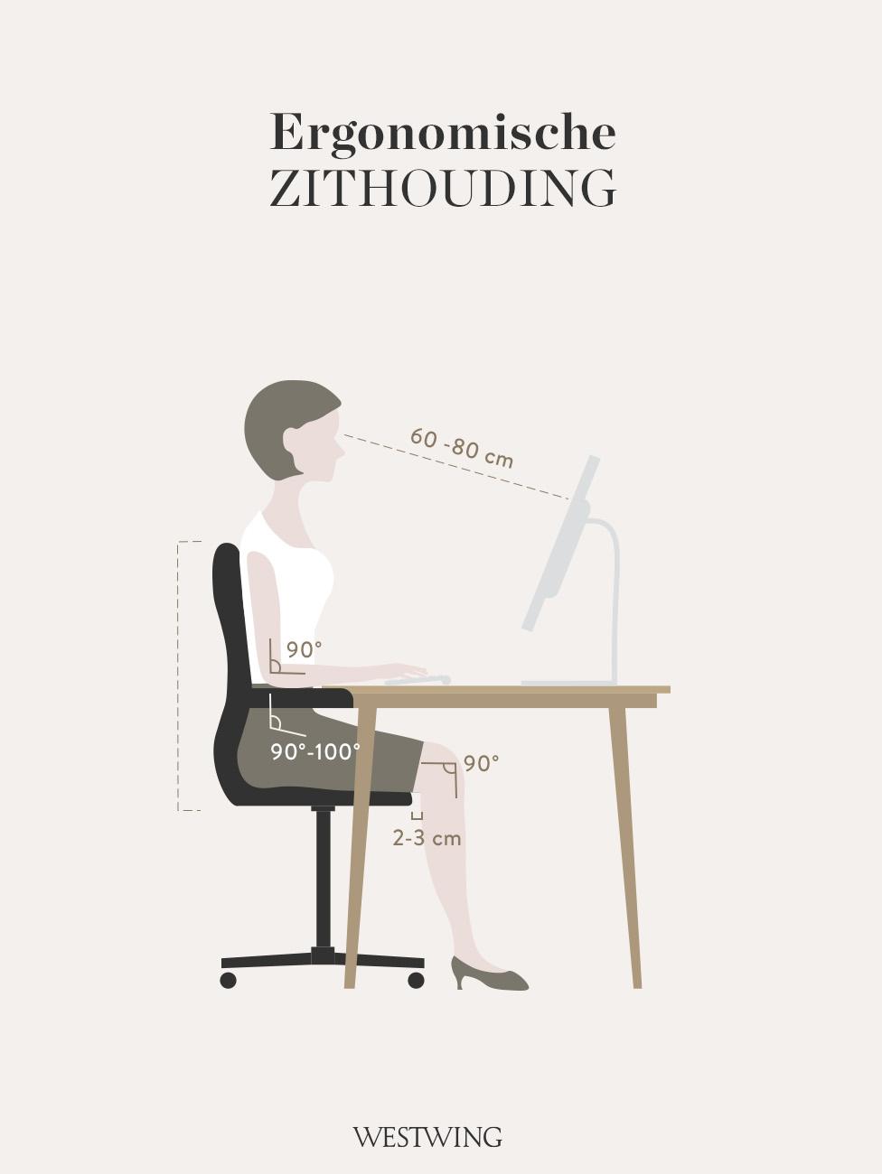 uitleg over egonomische zithouding