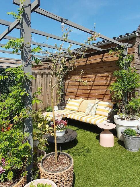 tuin met gras en pregola met kliimplanten