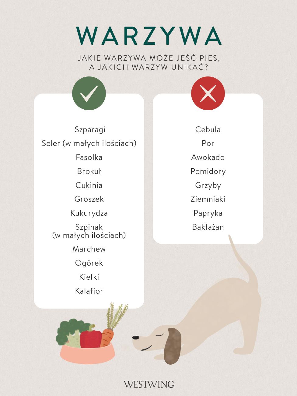 lista warzyw, które można dawać psu oraz jakich warzyw unikać