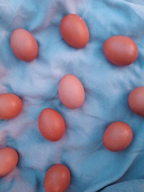 Pomalowane jajka położone na niebieskim materiale