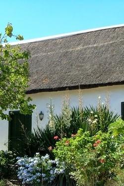 Skalniak złożony z roślin przed białym domem