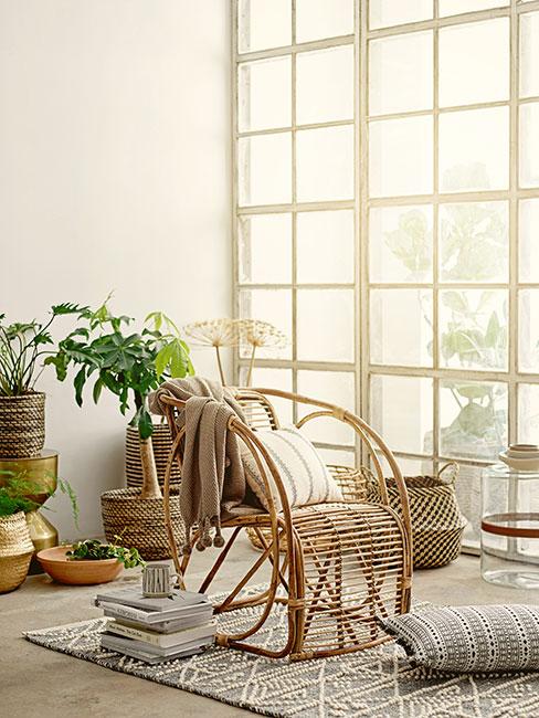 fotel z rattanu w oranżerii otoczony roślinami