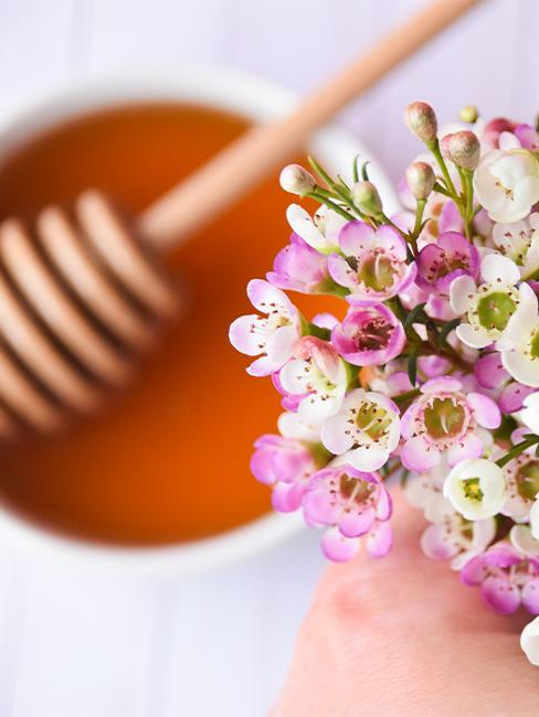 miód manuka