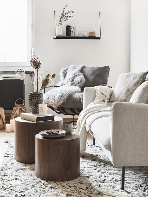 Przytulny salon z szarymi, białymi i brązowymi meblami