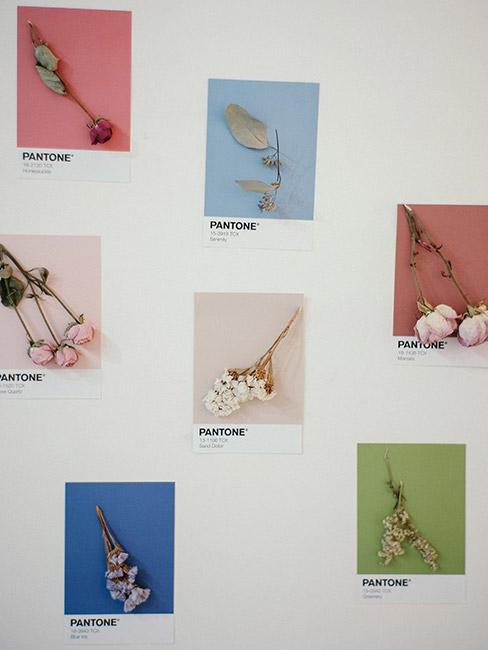 Próbki kolorów pantone na ścianie