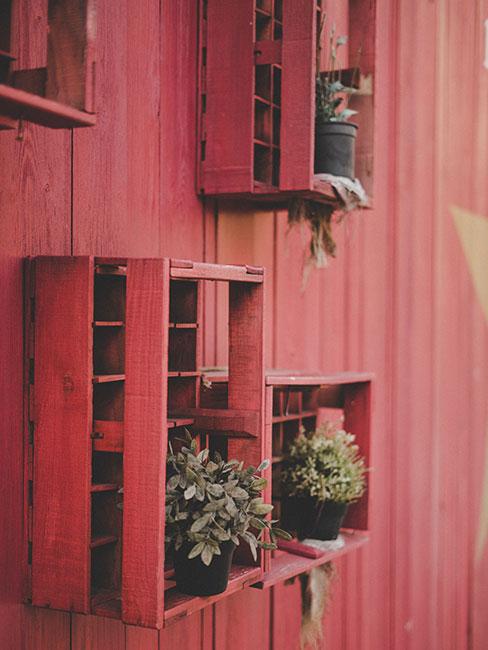 Rośliny w czerwonych skrzyniach na ścianie