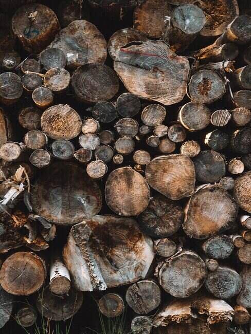 Drewno z widocznymi słojami