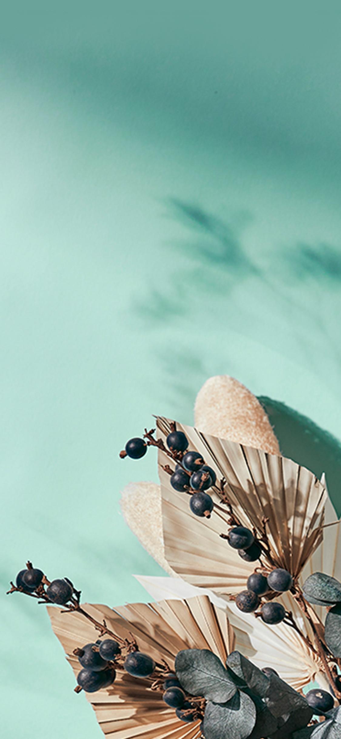 Seledynowe tło na telefon z suszonymi kwiatami