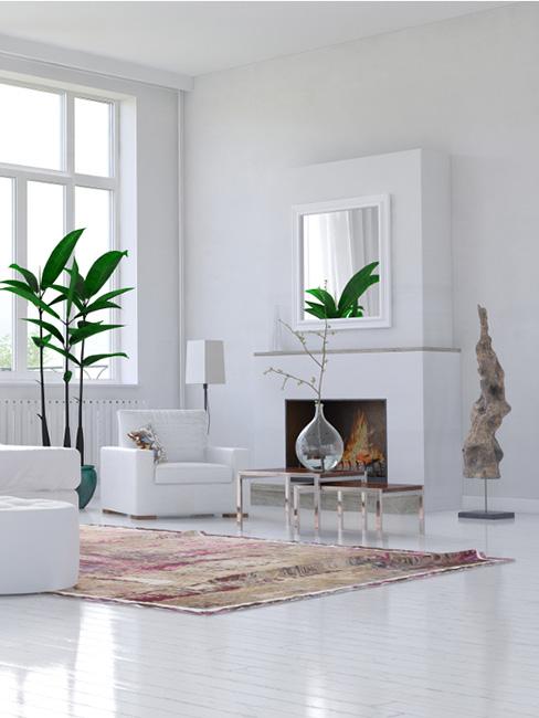 Duży salon w bieli z kominkiem i dużą rośliną doniczkową