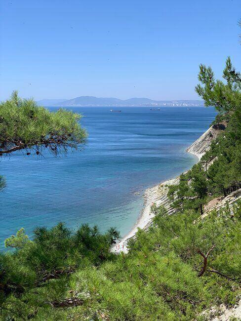 Zatoka otoczona plażami i drzewami