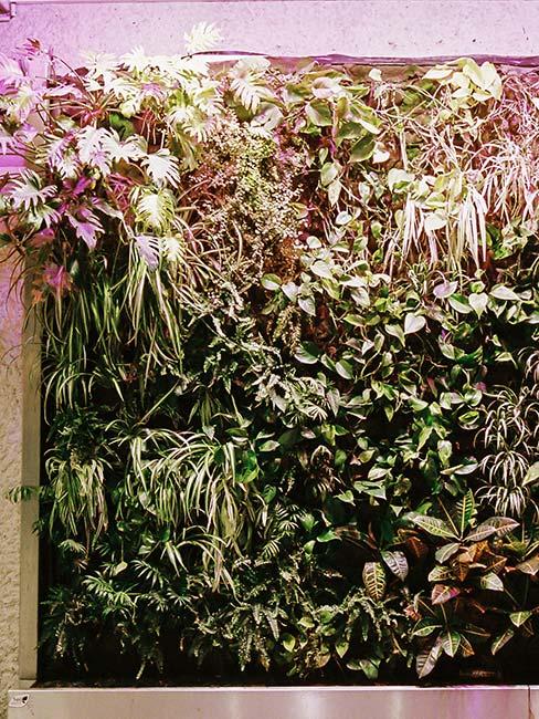 Liście i kwiaty na ścianie