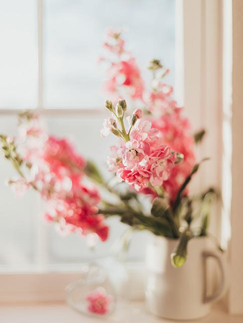 kwiaty w łososiowym kolorze na parapecie