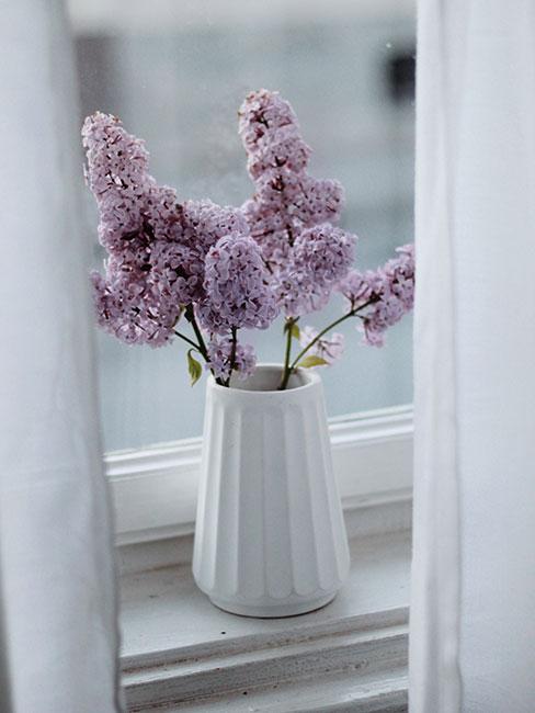 bez w białym wazonie na parapecie